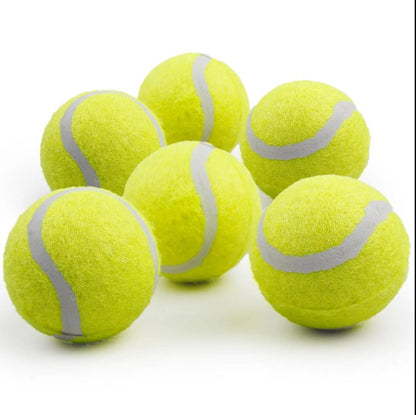 Dog Tennis Ball Toy, 6Pcs Fetch Balls for Puppy to Small Dogs (2-Inch AFP Mini Automatic Ball Launcher Refills)