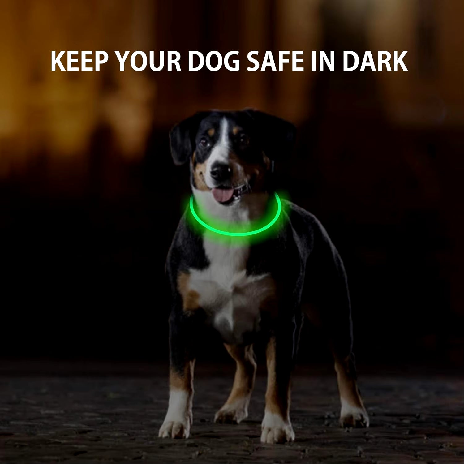 Dog Light up Collar LED Collar Light up Cat Collar USB Rechargeable Collar Christmas Decoration Pet Collar Pet Christmas Gifts